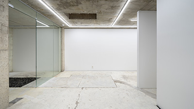 ���� ����